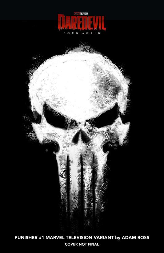 PUNISHER #1 ADAM ROSS MARVEL TELEVISION LOGO VARIANT (2/25/2026)